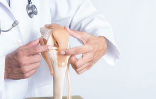 Cartilage